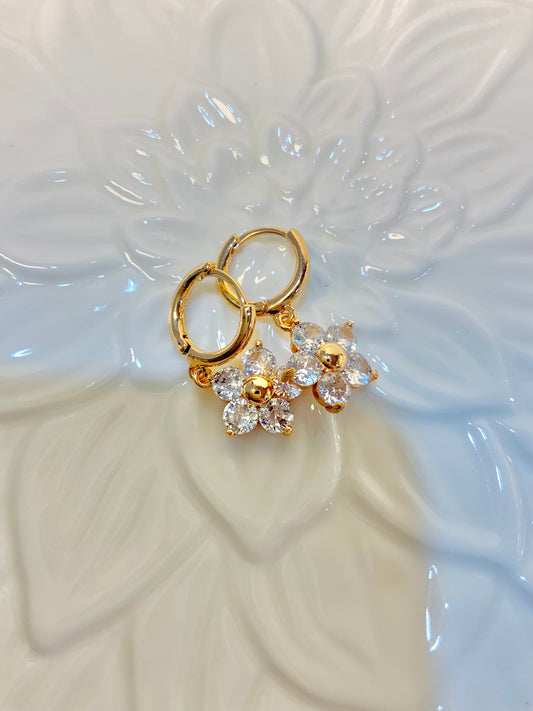 Daisy Dewdrops